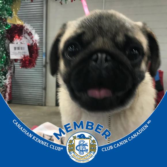 Meet your Posher, Kim - Picture 1 of 1